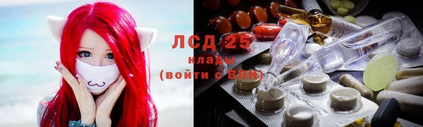 ECSTASY Ельня