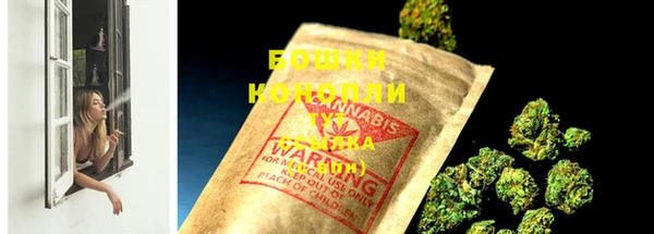 ECSTASY Ельня