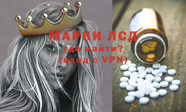 ECSTASY Ельня
