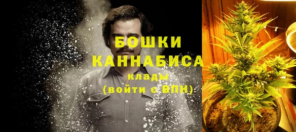 spice Елизово