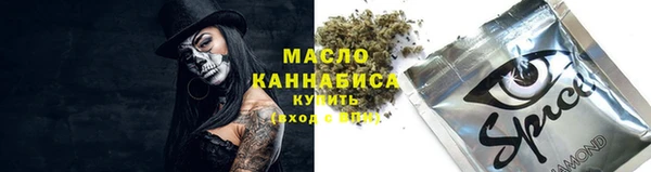 ECSTASY Ельня
