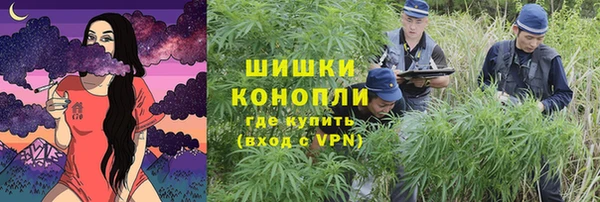 ECSTASY Ельня