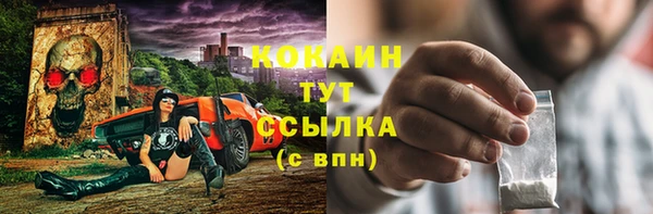 ECSTASY Ельня